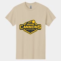 Heavy Cotton ™ 100% Cotton T Shirt Thumbnail