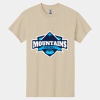 Heavy Cotton ™ 100% Cotton T Shirt Thumbnail