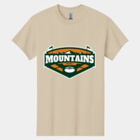 Heavy Cotton ™ 100% Cotton T Shirt Thumbnail