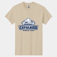 Heavy Cotton ™ 100% Cotton T Shirt Thumbnail