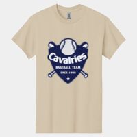 Heavy Cotton ™ 100% Cotton T Shirt Thumbnail