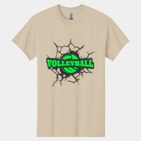 Heavy Cotton ™ 100% Cotton T Shirt Thumbnail